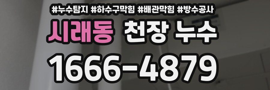 시래동 천장 누수