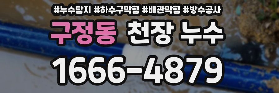 구정동 천장 누수