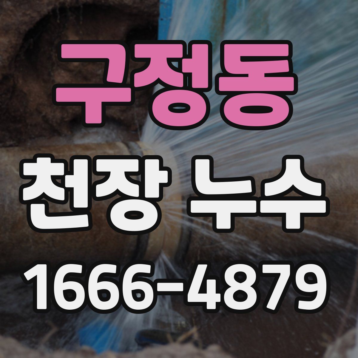 구정동 천장 누수