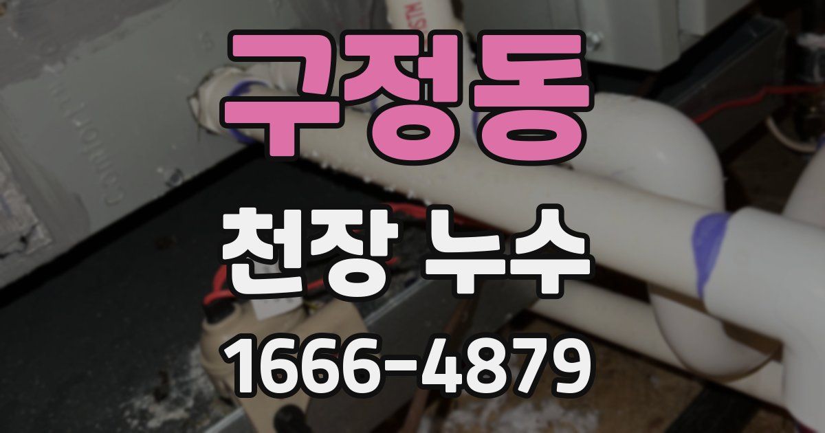 구정동 천장 누수