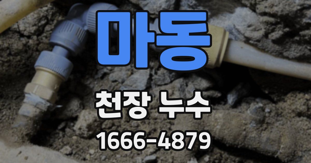 마동 천장 누수