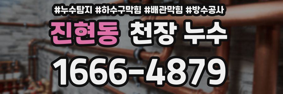 진현동 천장 누수
