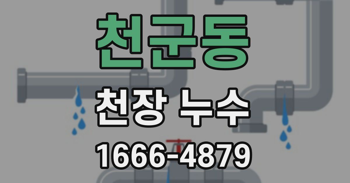 천군동 천장 누수