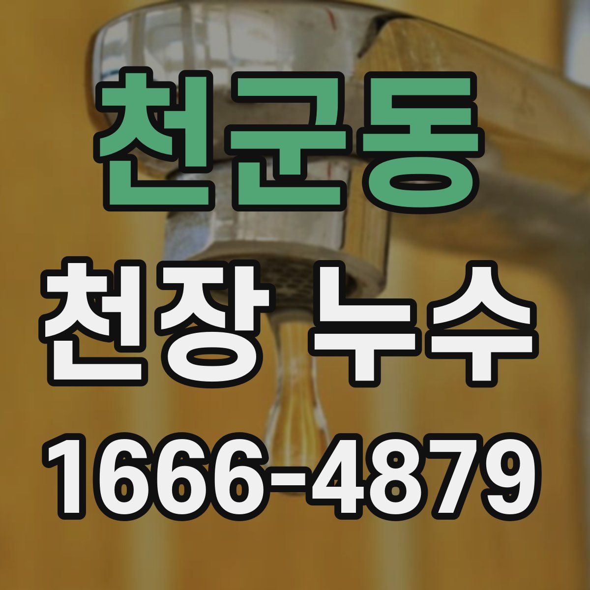 천군동 천장 누수