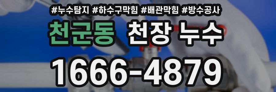 천군동 천장 누수
