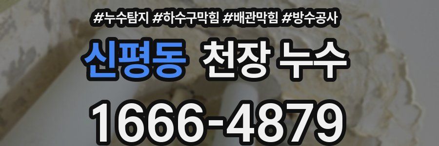 신평동 천장 누수