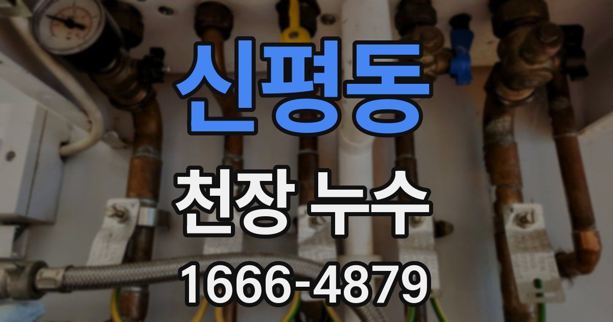 신평동 천장 누수