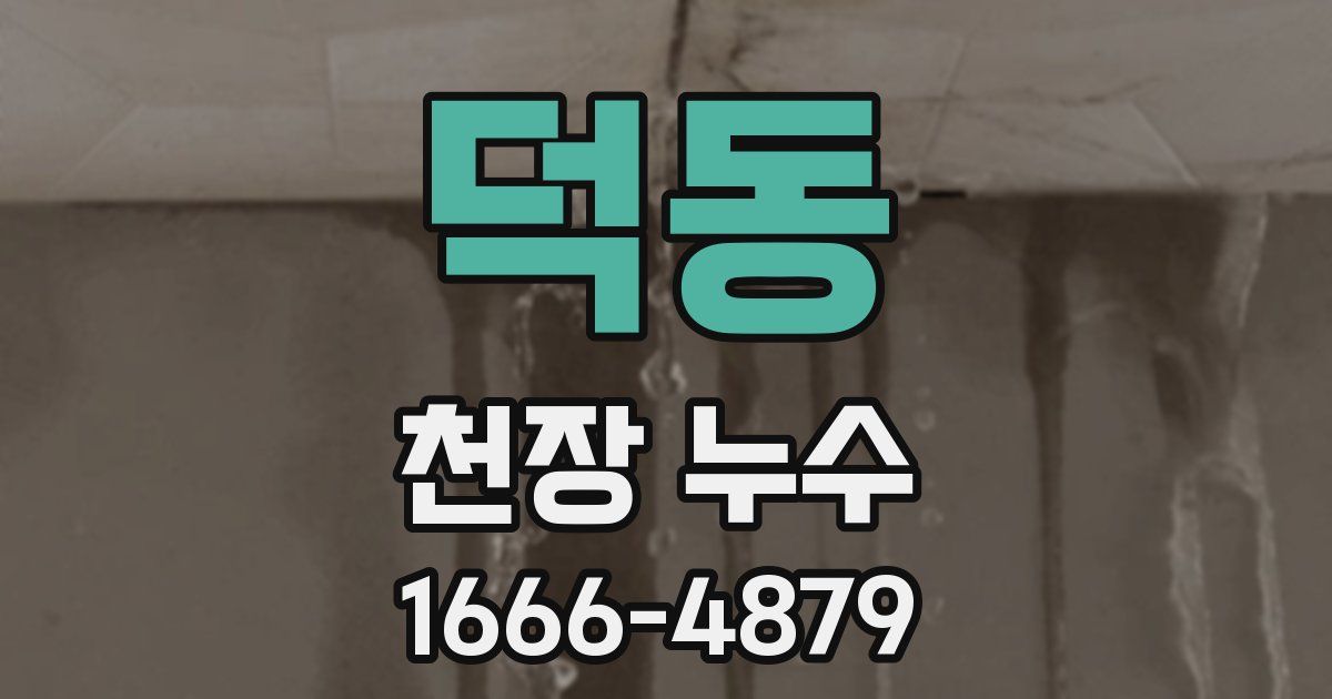 덕동 천장 누수