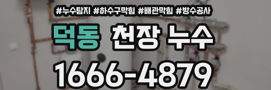 덕동 천장 누수