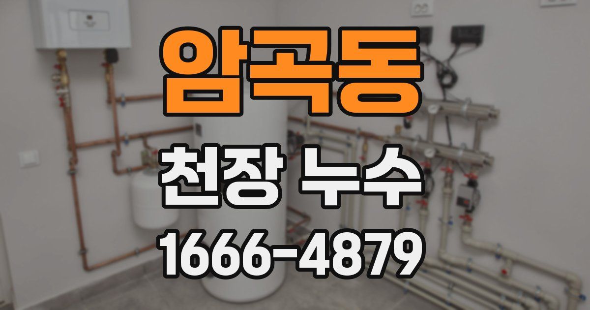 암곡동 천장 누수