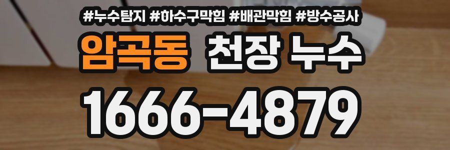 암곡동 천장 누수