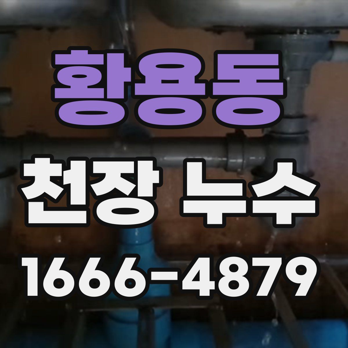 황용동 천장 누수