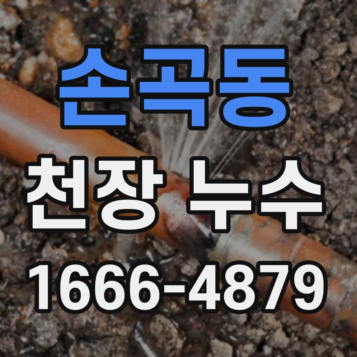 손곡동 천장 누수