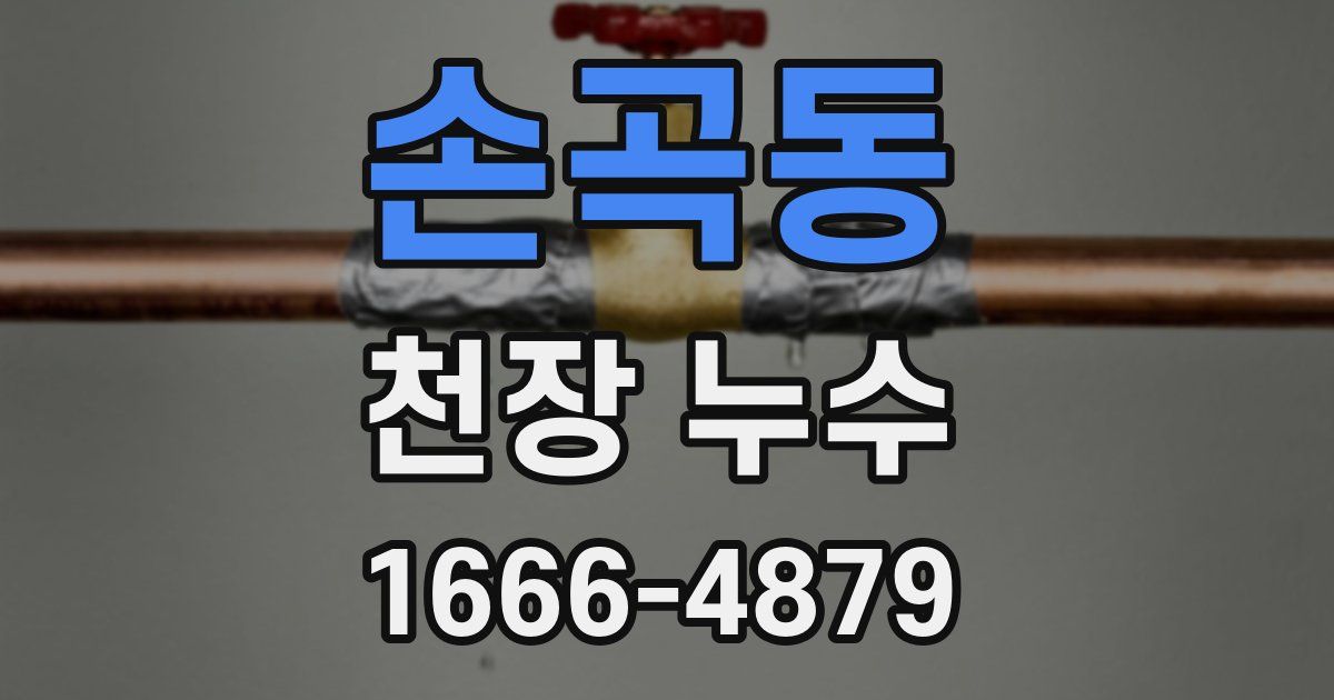 손곡동 천장 누수