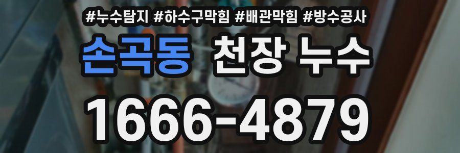 손곡동 천장 누수