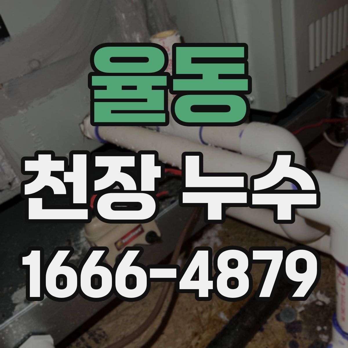 율동 천장 누수