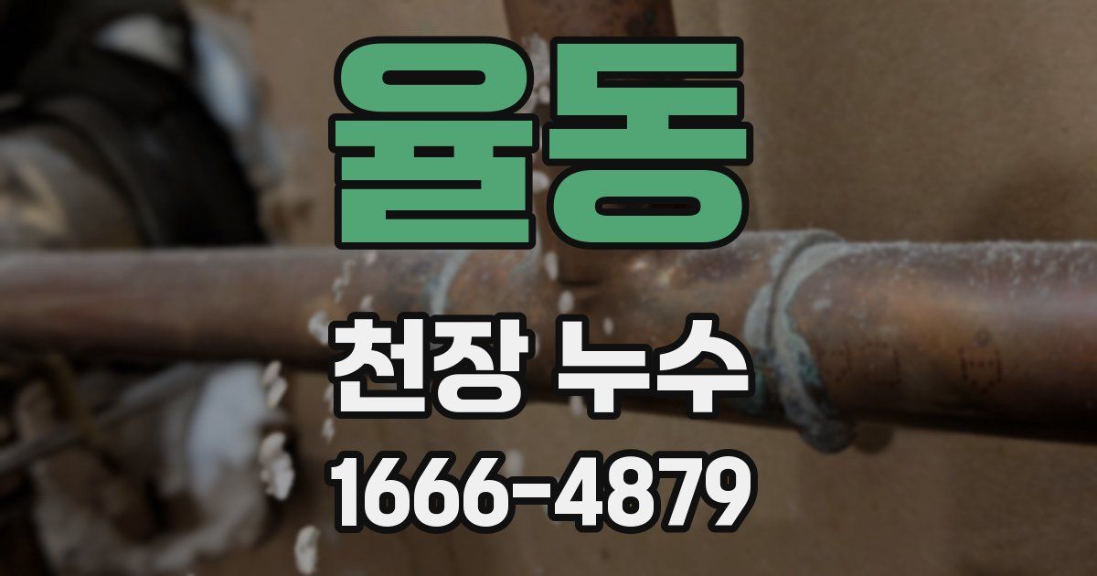 율동 천장 누수