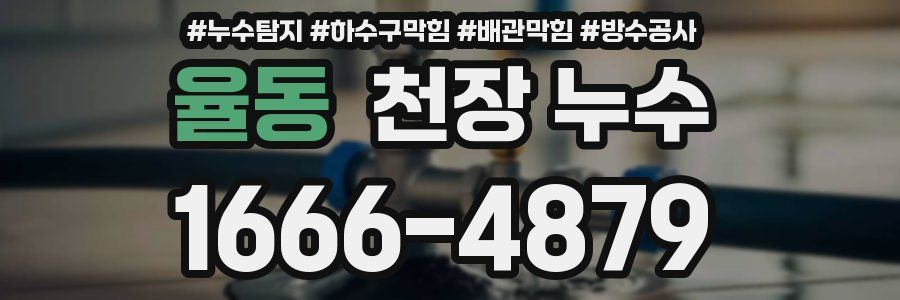 율동 천장 누수