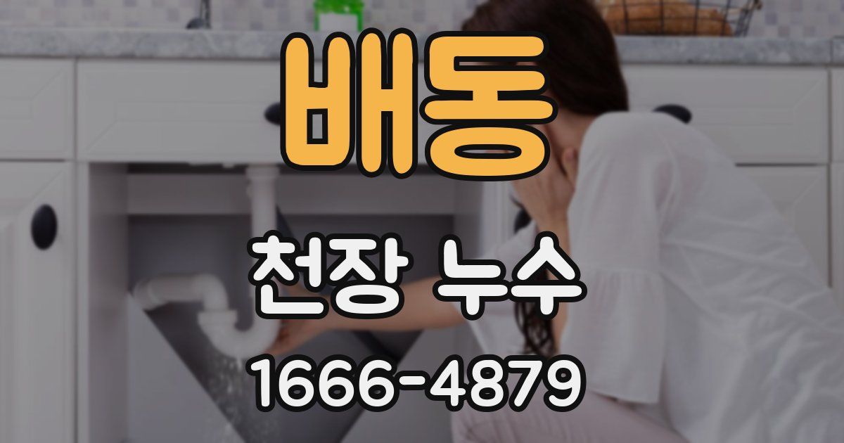 배동 천장 누수