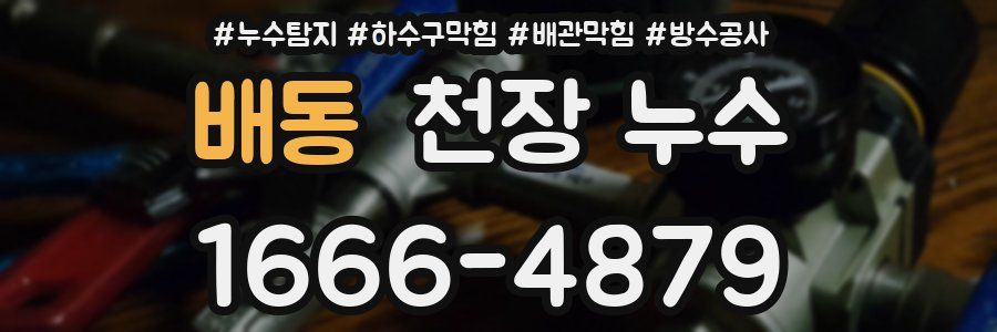 배동 천장 누수