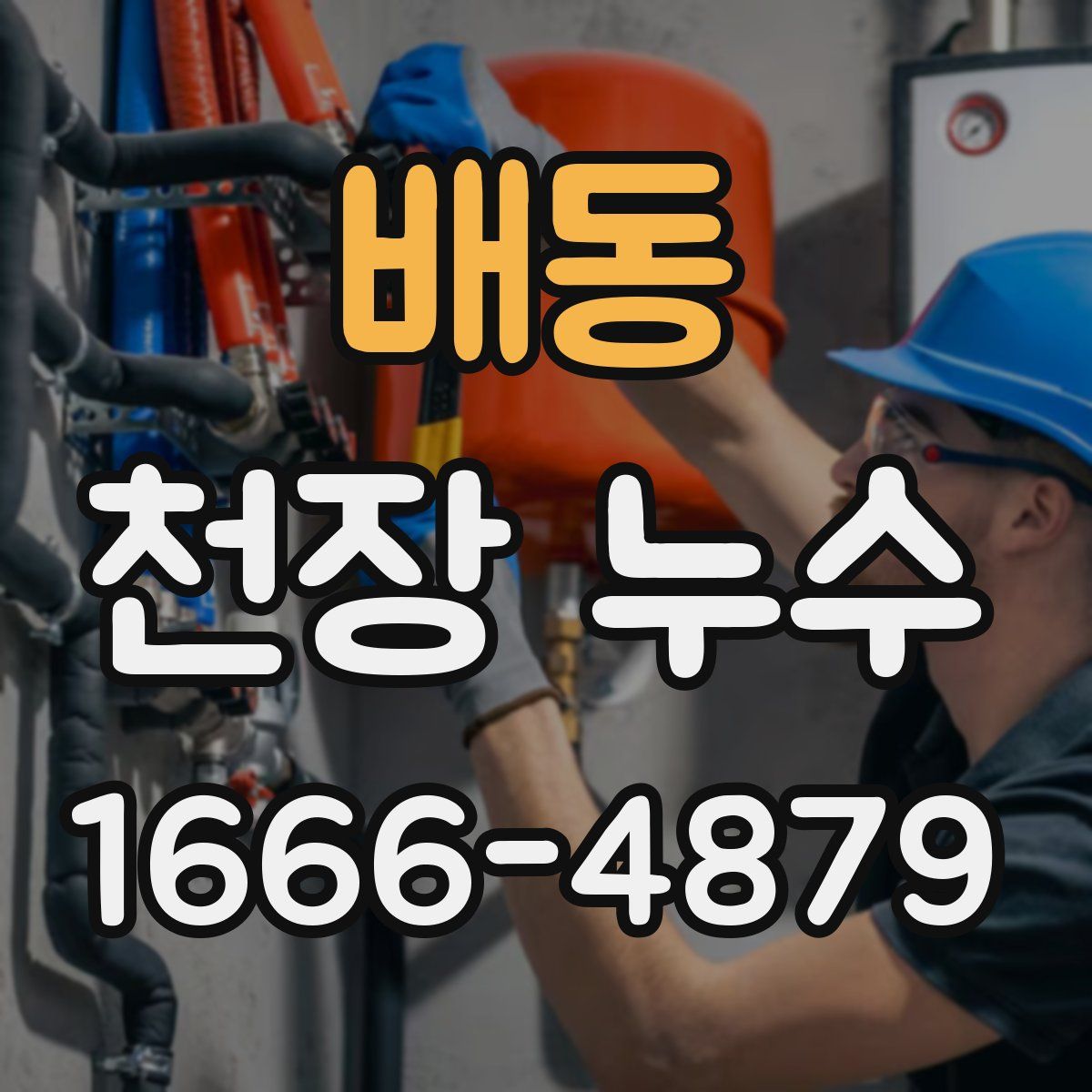 배동 천장 누수