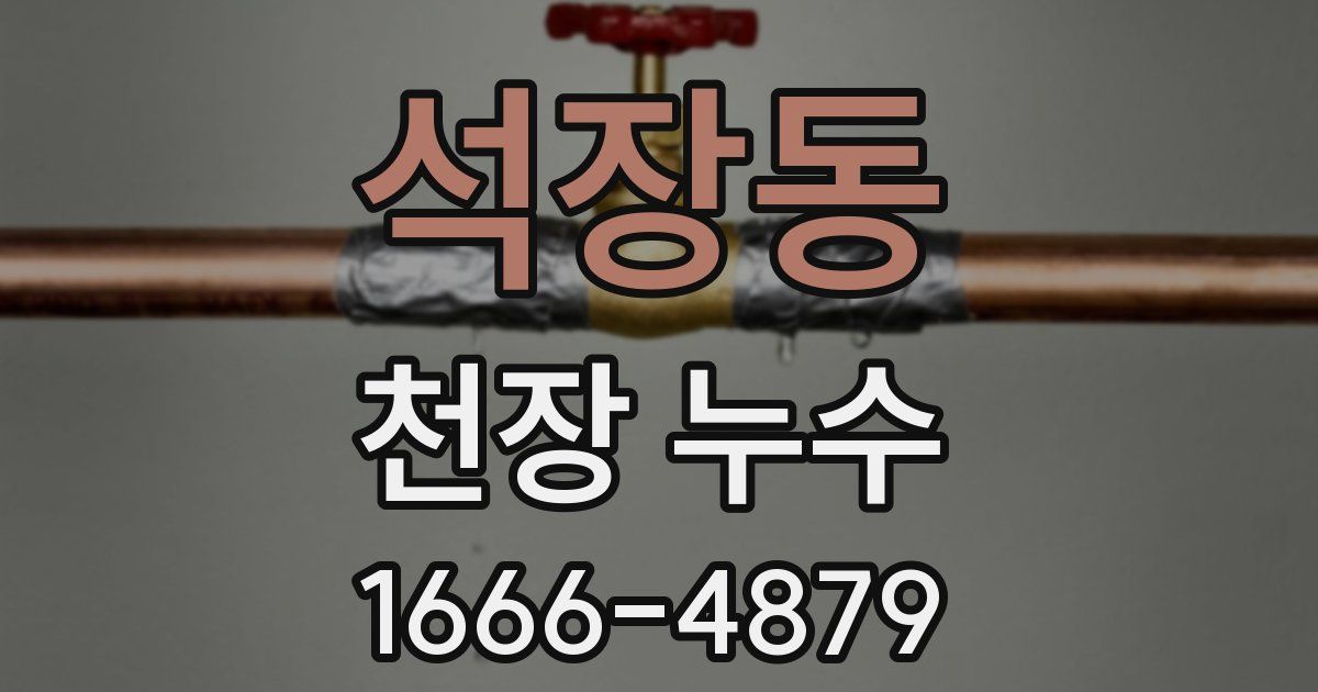 석장동 천장 누수