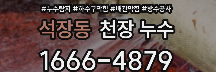 석장동 천장 누수