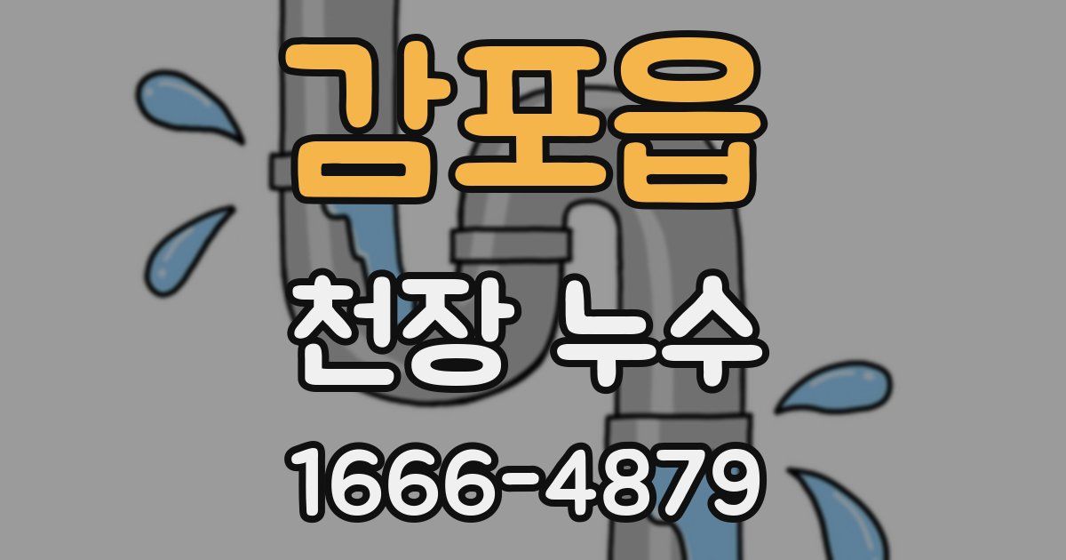 감포읍 천장 누수