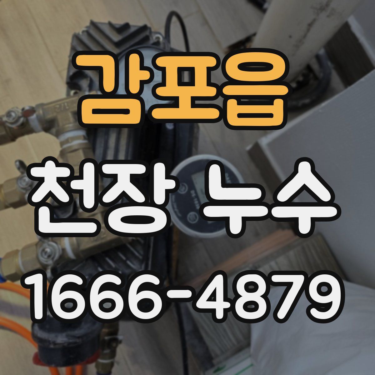 감포읍 천장 누수