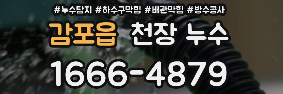 감포읍 천장 누수