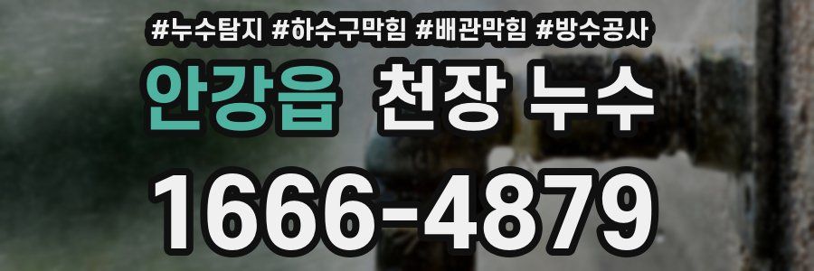 안강읍 천장 누수