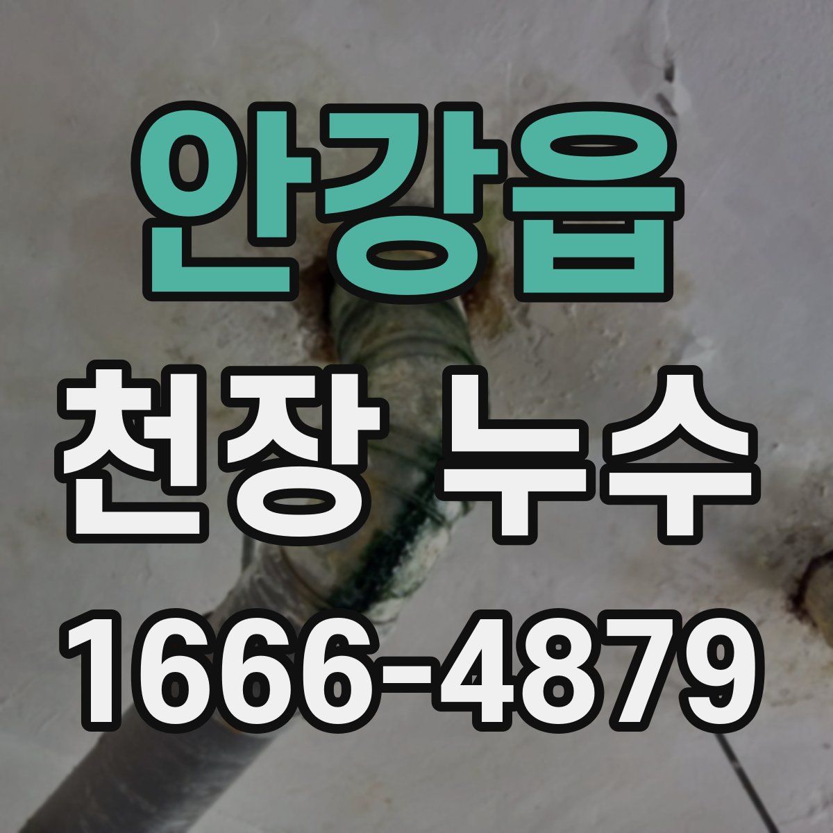 안강읍 천장 누수