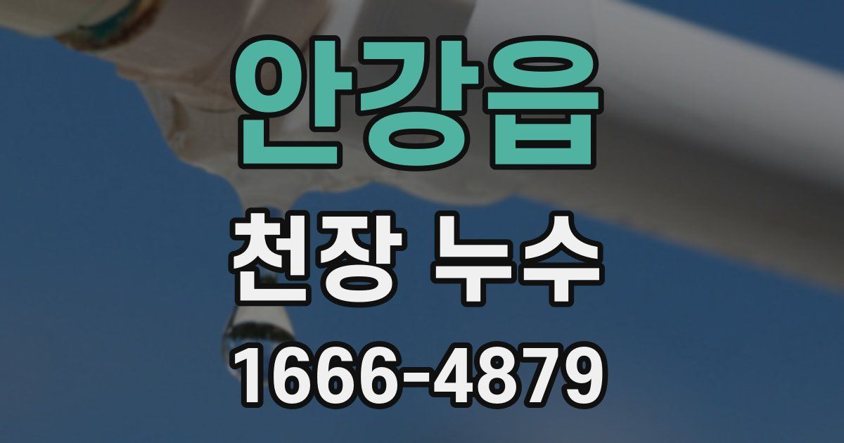 안강읍 천장 누수