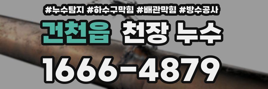 건천읍 천장 누수