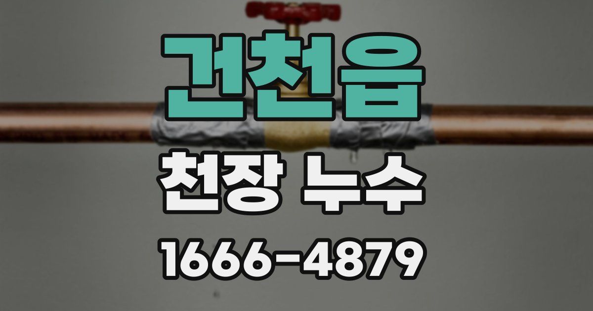 건천읍 천장 누수