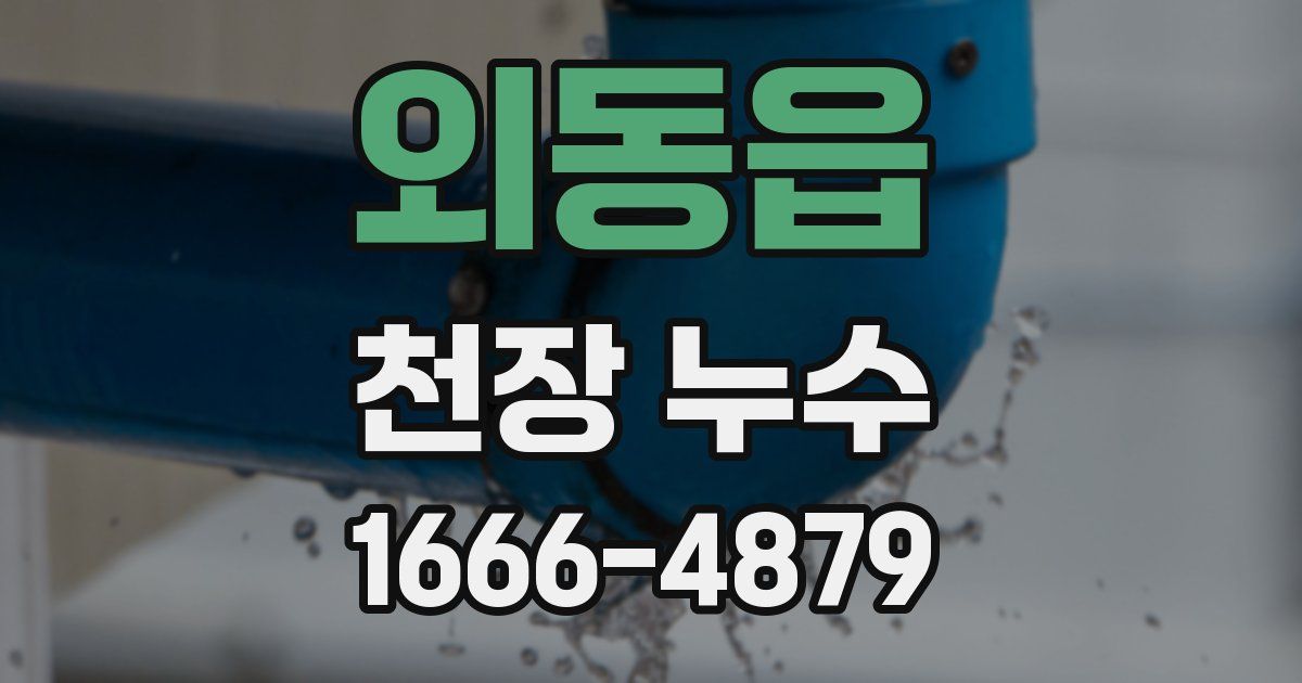 외동읍 천장 누수