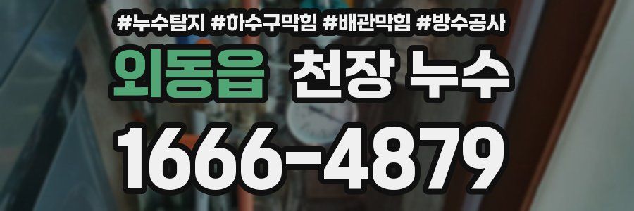 외동읍 천장 누수