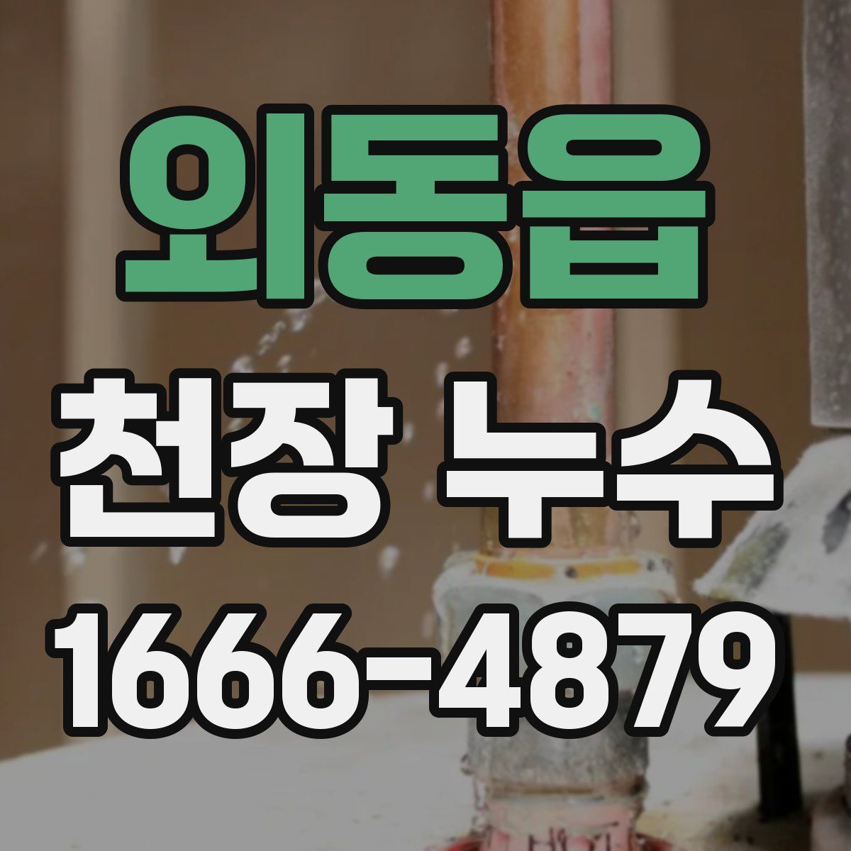 외동읍 천장 누수