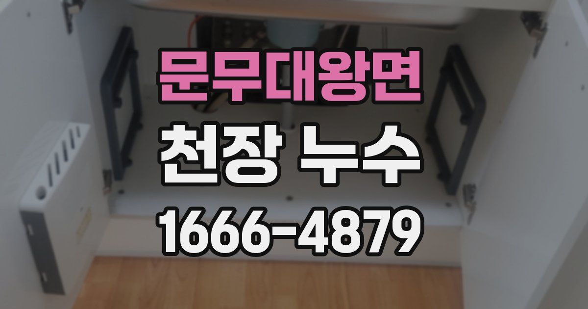 문무대왕면 천장 누수