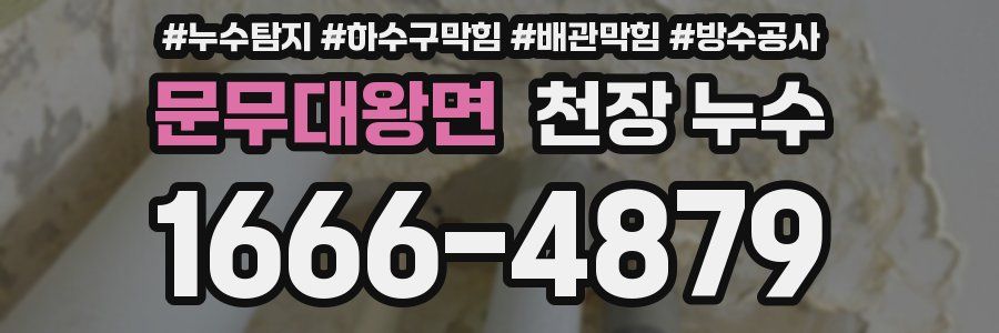 문무대왕면 천장 누수