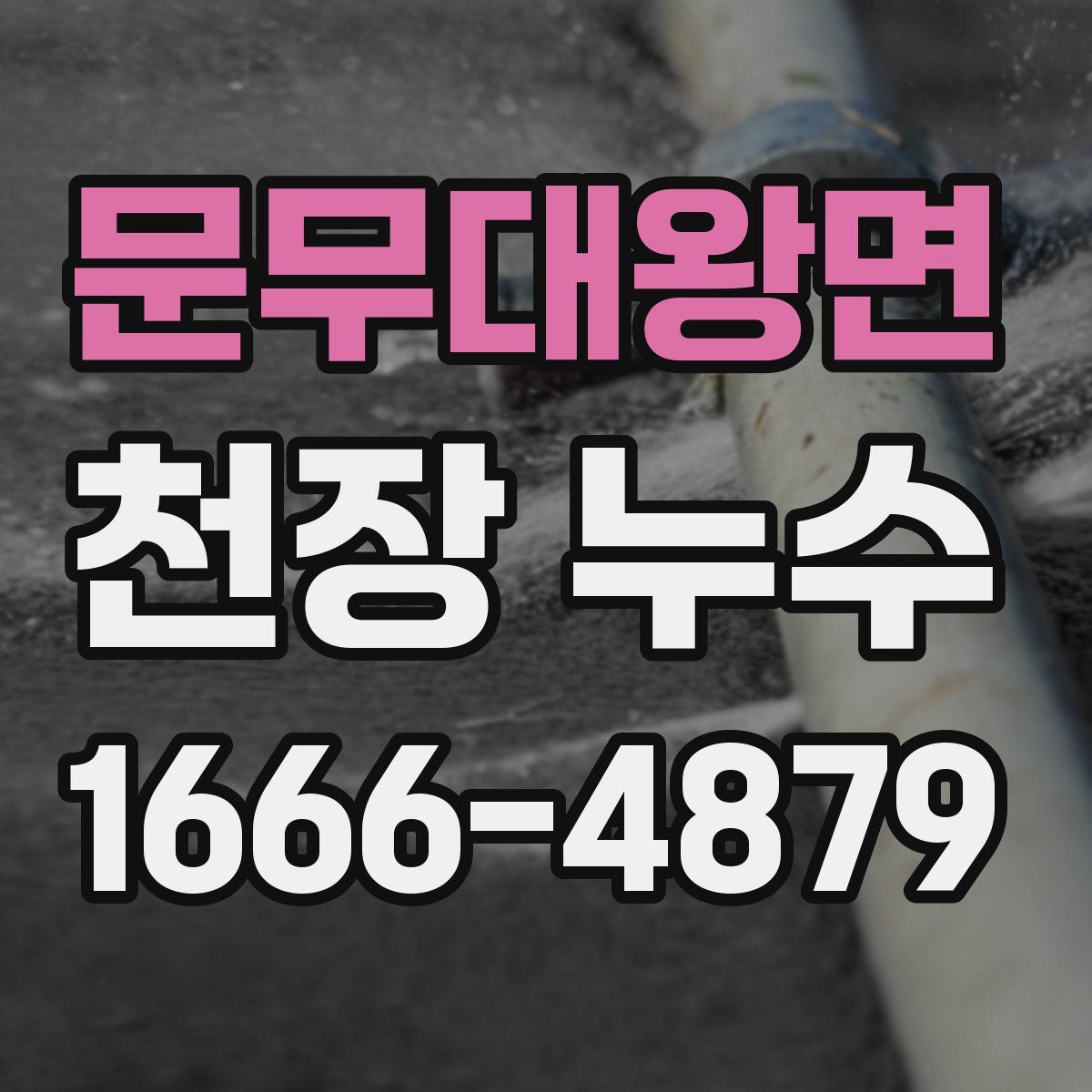 문무대왕면 천장 누수