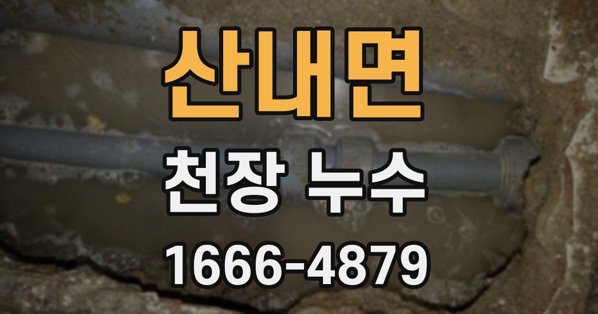 산내면 천장 누수