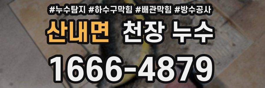 산내면 천장 누수