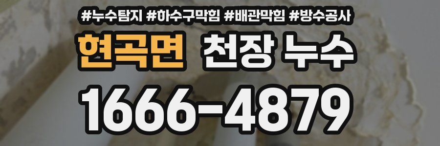 현곡면 천장 누수