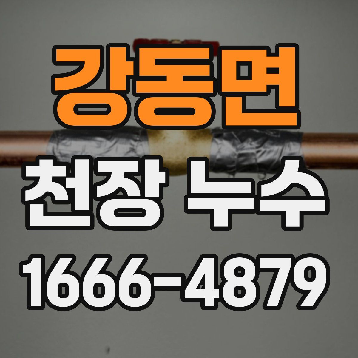 강동면 천장 누수