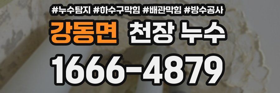 강동면 천장 누수