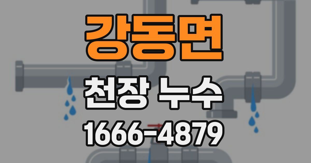 강동면 천장 누수