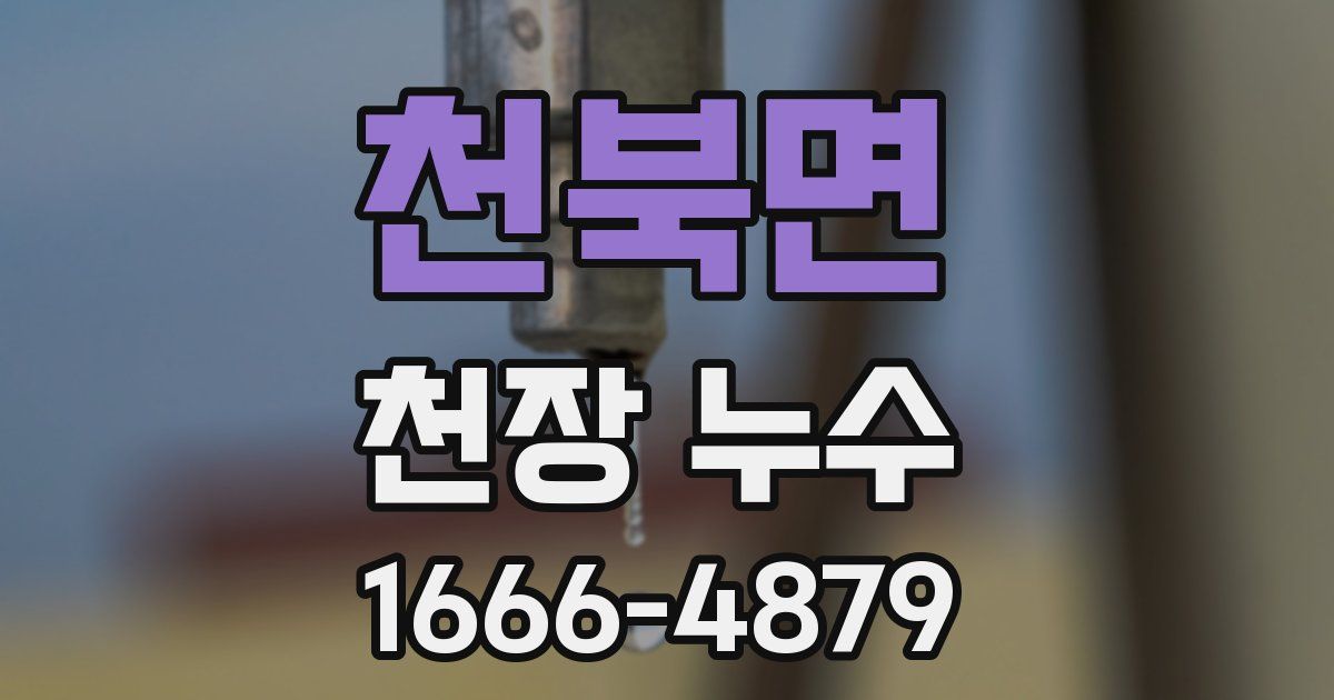 천북면 천장 누수