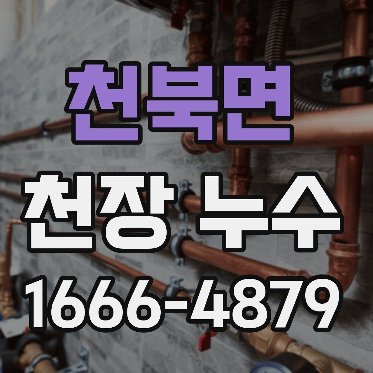천북면 천장 누수