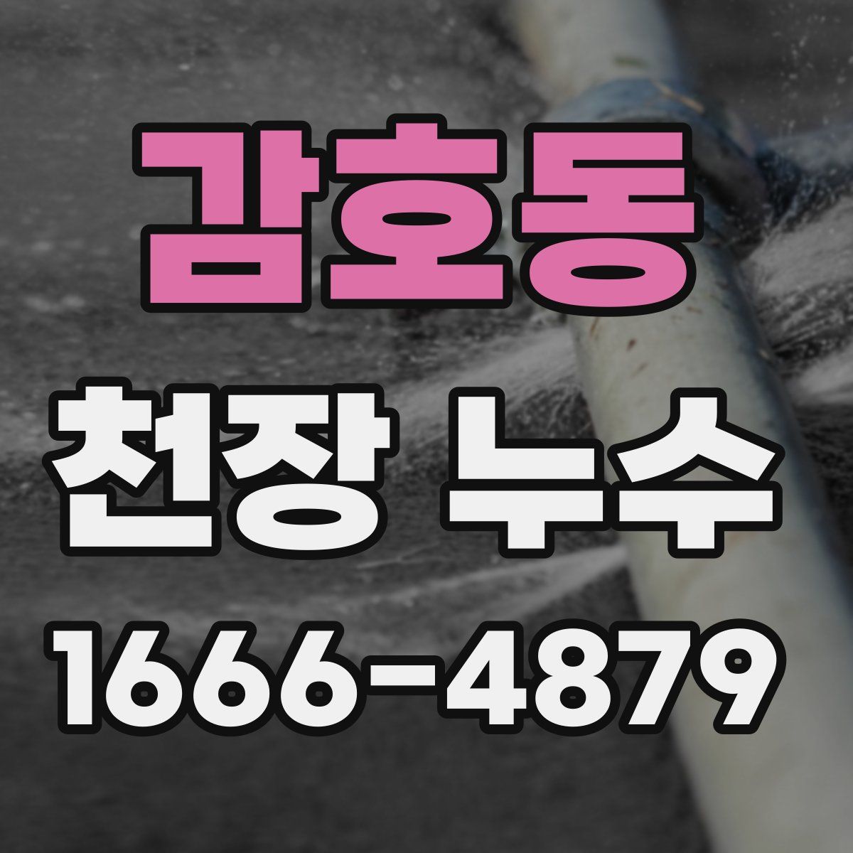 감호동 천장 누수